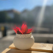 The Vase Dama by Urchic Porcelain, adorned with a striped pattern and red leaves, sits on a wooden surface under bright sunlight. The background is blurred.