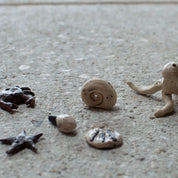 Six small sea creature and shell sculptures, created by children at Urchic Porcelain’s "GLINARIJE NA LONTRGU: Poletna mala šola gline za otroke - AKONTACIJA" workshop, are displayed on a speckled, light surface.